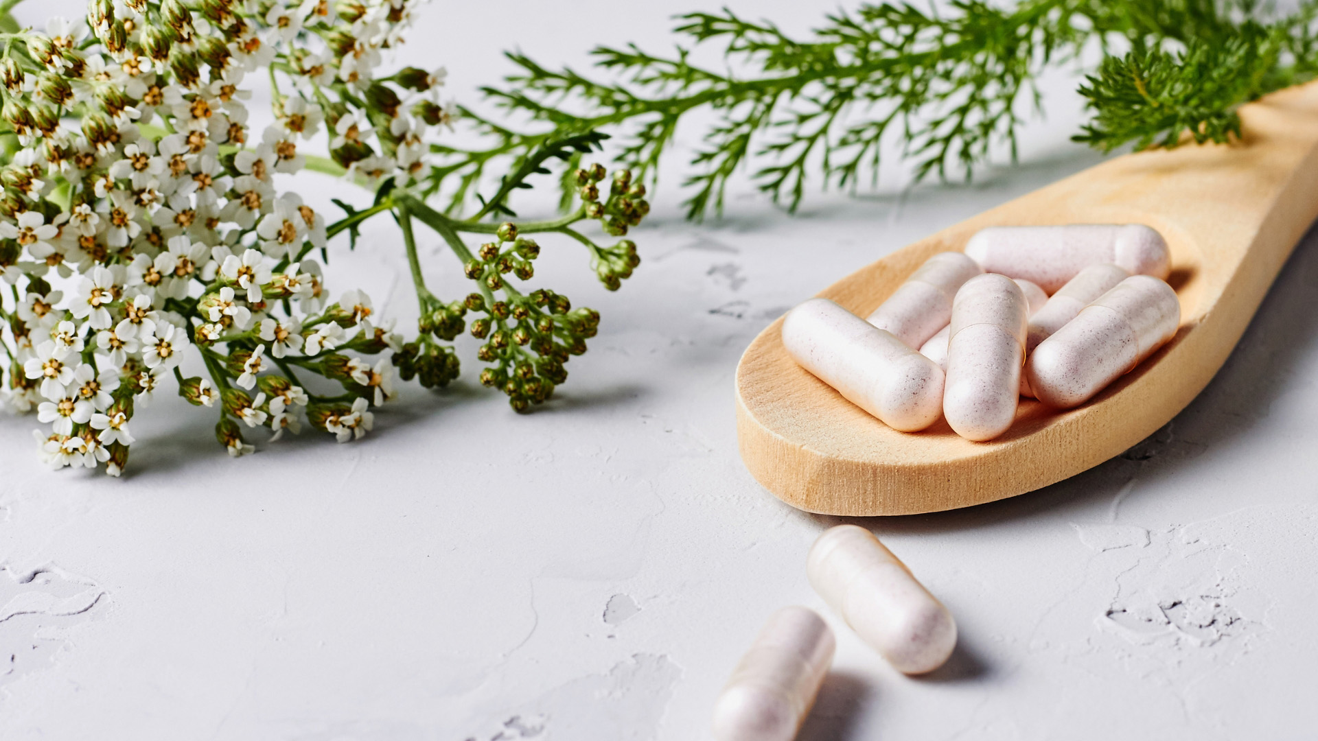 Abbildung von Heilkräutern und Medikamenten-Kapseln